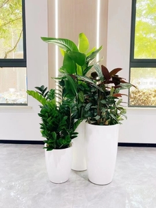 关于宁波慈溪绿化养护价格，你必须知道的事！